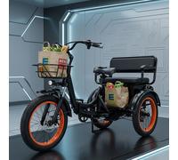 20 Zoll Elektro Dreirad Modernes Cargo Trike Urban Lifestyle 25 km/h Erwachsene