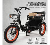 20 Zoll Elektro Dreirad Profi Cargo Trike Scheibenbremse LCD 25 km/h 300kg