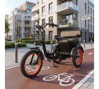 20 Zoll Premium Elektro Dreirad Cargo Trike LCD Differential 25km/h Federung