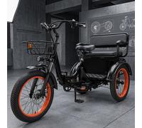 20 Zoll Premium Elektro Dreirad Cargo Trike LCD Federgabel 25km/h 48V Akku 300kg