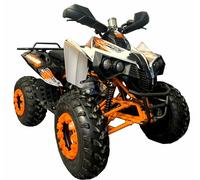 200ccm Quad Kinder ATV Quad Pitbike 4 Takt Motor Quad ATV 008 Zoll