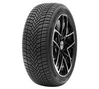 Delinte AW 6 M+S 3PMSF 205/55 R16 91 V Ganzjahresreifen