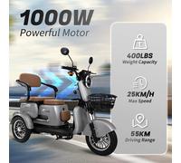 20Zoll Dreirad Seniorenmobil mit Straßenzulassung 1000W 25km/h Elektromobil EU