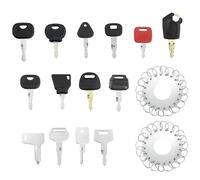 21 Stück Ersatz Zündschlüssel, Baumaschinen Schlüssel Set Bagger Schlüssel, Zündschlüssel set Baumaschinen, Zündschlüssel set Traktor,Masterschlüssel set für Bagger, Traktor, Motorrad.