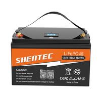24V/12V LiFePO4 Akku 300Ah 200Ah 100Ah Lithium Batterie BMS für Wohnmobil Boot
