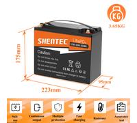 24V/12V LiFePO4 Akku 300Ah 200Ah 100Ah Lithium Batterie BMS für Wohnmobil Boot