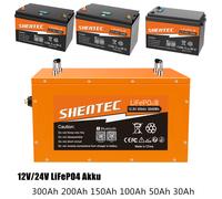 24V/12V LiFePO4 Akku 300Ah 200Ah 150Ah Lithium Batterie mit BMS Wohnmobil Boot