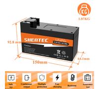 24V/12V LiFePO4 Akku 300Ah 200Ah 150Ah Lithium Batterie mit BMS Wohnmobil Boot