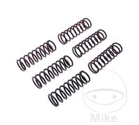 25146-Kit 6 verstärkte Kupplungsfedern kompatibel mit BMW F 800 800 ST 85 CV, 62
