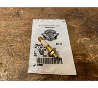 29465-08B SCHRAUBE ENTLÜFTUNG LUFTFILTER HARLEY TWINCAM 2008-17 SOFTAIL TOURING