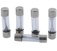 2EXTREME Glassicherung 25mm (30 Amp), 5er Pack kompatibel für Motorrad, Mofa, Moped, Quad, universal