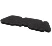 2EXTREME Luftfilter Einsatz kompatibel für PIAGGIO TPH 50, Liberty 50 2T, DERBI Boulevard 50, Zip SSL 25, Quartz 50, APRILIA Sportcity Street 50, GILERA Runner SP 50, NRG mc³ (Cat) DT, Typhoon