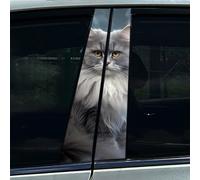 2Pcs Persische Katze Maine Coon Auto Mitte Säule Aufkleber B Säule Schutzfolie