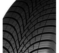 2x 205/55 R16 94V XL Ganzjahresreifen DUNLOP ALL SEASON 2 BSW