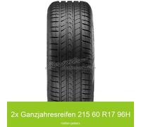 2x 215/60 R17 96H Vredestein Quatrac Pro Plus 3PMSF Ganzjahresreifen | 18435
