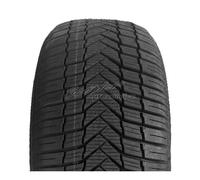 2x Autogreen All Season Versat AS-2 3PMSF 185/60 R14 82H Allwetterreifen | 37844