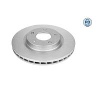 2x Bremsscheibe für Mitsubishi ASX GAW Outlander 2 CWW 3 vorne Meyle 26245093