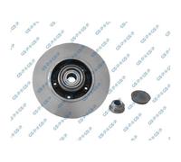 2x Bremsscheibe für Renault Clio 4 BH KH Grand JZ0/1 Megane hinten GSP 26230395