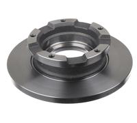 Bremsscheibe 202579