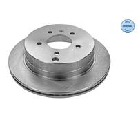 2x Bremsscheibe Hinterachse für OPEL CHEVROLET ANTARA A CAPTIVA