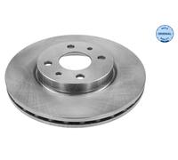 2x Bremsscheibe MEYLE 215 521 0002 für PEUGEOT LANCIA PUNTO STILO ALFA CITROËN 2