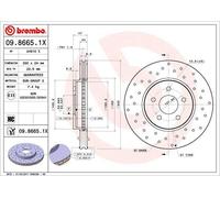 2X BREMSSCHEIBE VORNE BREMBO 0986651X FÜR FORD JAGUAR