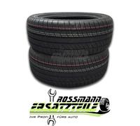 BRIDGESTONE Ganzjahresreifen WEATHER CONTROL A005 EVO - 1x 245/45R20 99W