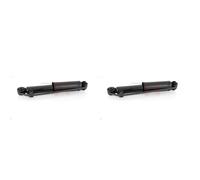 2x GH Stoßdämpfer hinten links rechts für Hyundai Santa Fé II CM KIA