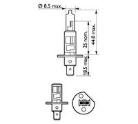 2x Glühbirne P14.5s H1 12258XVPS2 PHILIPS für OPEL BMW FORD ALFA ROMEO CITROËN