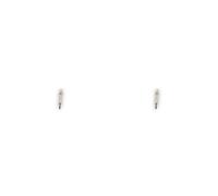 2x Glühkerze BOSCH 0 250 202 141 für Mercedes-Benz E