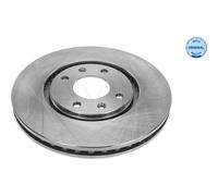 2x Meyle 11-15 521 0007 Bremsscheibe für PEUGEOT CITROEN XANTIA 406 X1 X2 8B 8C