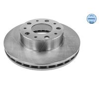 2x MEYLE 215 521 0029 Bremsscheibe für CITROËN FIAT PEUGEOT
