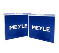 2x MEYLE Bremsscheibe Hinten für AUDI 100 C4 A6 C5 SUPERB I PASSAT B5 B5.5 B6