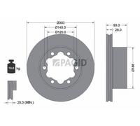 2x PAGID Bremsscheibe innenbelüftet Ø303mm für VW Crafter 30-50 Kasten 2E_ 2F_