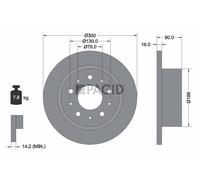 2x PAGID Bremsscheibe voll Ø300mm für Fiat Ducato Pritsche/Fahrgestell 250_