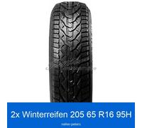 2x Riken Snow 3PMSF Winterreifen 205/65 R16 95H | 75851