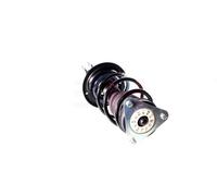 Gema Herrerías Komplett Stoßdämpfer-Federbein Satz GH-353983C02 vorne l/r passend für Renault Clio