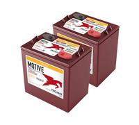 2x Trojan T-105 6V 207Ah Deep Cycle AGM Traktionsbatterie