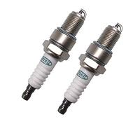 2x Zündkerze für Hecht Rasenmäher 40 5060 540 541 546 547 553 5410 548 SH SX SXW