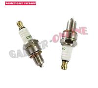 2x Zündkerze für STIHL MS201T MS231 MS241 MS251 MS 201 231 241 251 ( MS170 Neu )