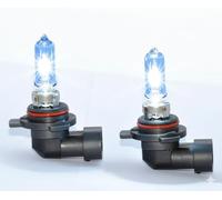 2xStück HIR2-55W - 9012 - PX20d - 12V Xenon Optik Lights - Halogen Auto Lampen für Abblendlicht Fernlicht Zusatzscheinwerfer und Nebelscheinwerfer/chiavi
