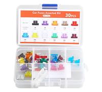 30 Stück Kfz Sicherung Set Mini Flachsicherungen Auto für PKW Wohnmobil LKW