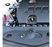 300 Pcs Autotürschnalle Clips Für Autotürverkleidungen Karosseriebleche