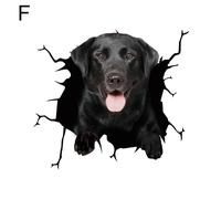 3D Aufkleber Lustige Hund Kopf In Die Riss Vinyl Auto Aufkleber Decals Wind M3