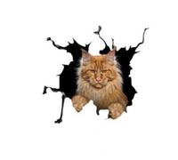 3D Vivid Katze Auto Karosserie Fenster Vinyl Aufkleber für Auto LKW Autozubehör