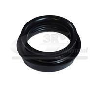 3RG Dichtring, Ansaugschlauch-Luftfiltergehäuse 80986 für Fiat