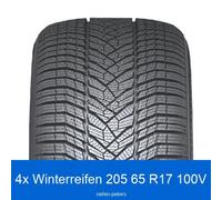 4-er Satz 205/65 R17 100V Nexen WinGuard Sport 3 3PMSF XL Winterreifen | 74769