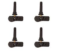 Radsensor, Reifendruck-Kontrollsystem SCHRADER 3041