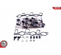49SKV500 ESEN SKV Reparatursatz, Saugrohrmodul für AUDI,VW
