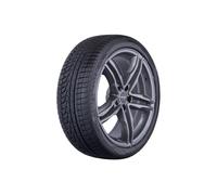 Ganzjahresreifen 225/45R18 95Y Uniroyal AllSeasonExpert 2 3PMSF XL | 63766